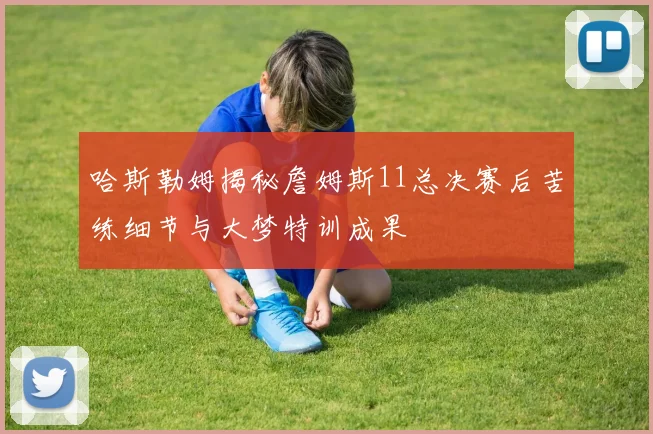 哈斯勒姆揭秘詹姆斯11总决赛后苦练细节与大梦特训成果